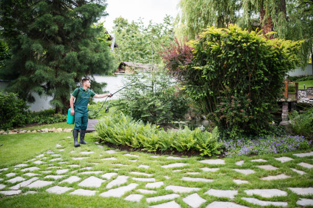 Best Local Pest Control Services  in Elkland, PA