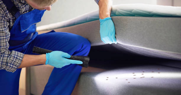 Best Commercial Pest Control Services  in Elkland, PA