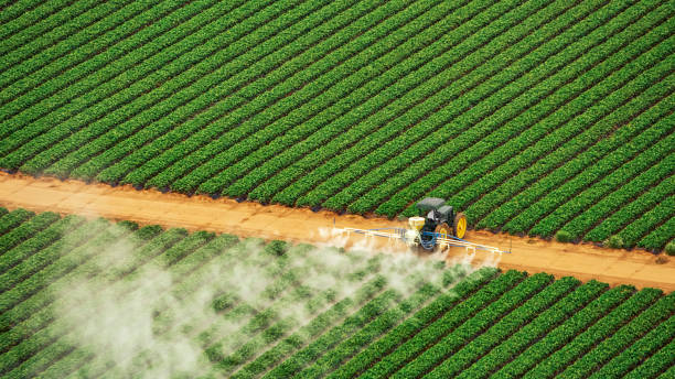 Best Pest Removal Services  in Elkland, PA