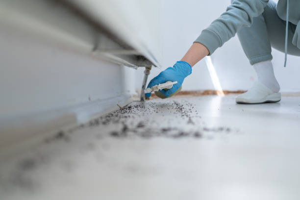 Best Flea Control Services  in Elkland, PA