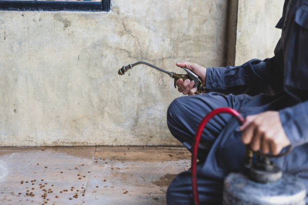 Best Emergency Pest Control  in Elkland, PA
